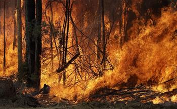 أستراليا: حرائق غابات تجتاح ولاية فيكتوريا وتدمر عددا من المنازل 