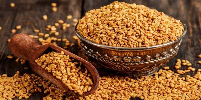 فوائد الحلبة لأمراض الجهاز الهضمي