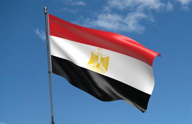 القوات الجوية المصرية ستنفذ عملية إسقاط لمساعدات غذائية وطبية بغزة