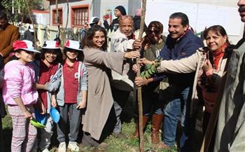 زراعة 300 شجرة مثمرة في مدارس بالقاهرة 