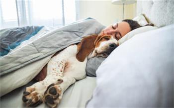 خبراء يحذرون من النوم بجانب الحيوان الأليف 