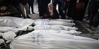 شخصيات تشيكية: ما يجري في غزة دموي.. وعدد الضحايا صادم