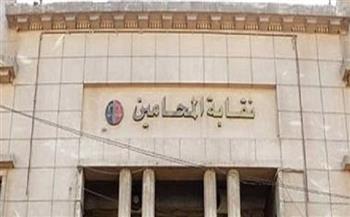 اللجنة القضائية المشرفة على انتخابات "المحامين" تعلن الكشوف النهائية للمرشحين