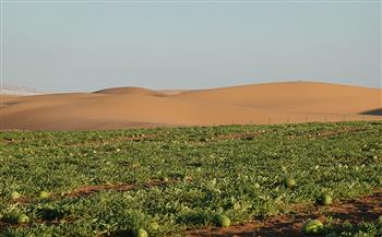 الوكالة الإسبانية و«الدولي للبحوث الزراعية» يطلقان مشروعا لتحويل الصحراء إلى أراضٍ منتجة