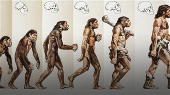 دراسة: الإنسان كان يمزح ويطلق النكات أيضًا قبل 13 مليون عامًا
