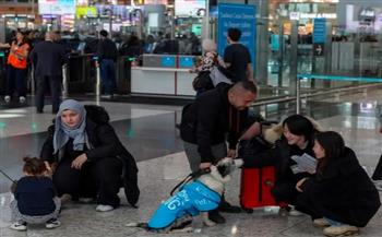 نشر كلاب في مطار إسطنبول لتخفيف التوتر بين المسافرين