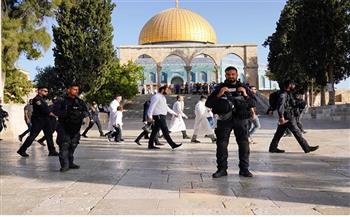عشرات المُستوطنين الإسرائيليين يقتحمون المسجد الأقصى بحماية الاحتلال 