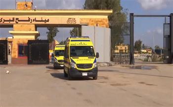 إدخال 54 مصابا فلسطينيا من ميناء رفح للعلاج بمستشفيات مصر 