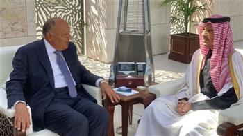 شكري يؤكد اعتزاز مصر بقوة العلاقات الأخوية مع قطر 