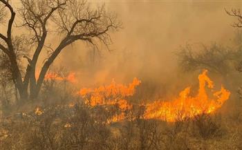 تكساس تخشى من تفاقم وضع أضخم حريق تشهده الولاية