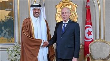 الرئيس التونسي وأمير قطر يؤكدان أهمية تعزيز علاقات الشراكة والتعاون بين البلدين