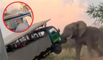 فيديو.. فيل غاضب يهاجم حافلة سياح ويرفعها بأنيابه في الهواء