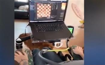 مصاب بالشلل يلعب شطرنج بعد زراعة شريحة دماغية (فيديو)