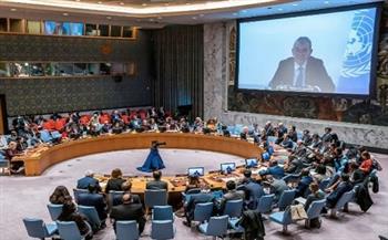 باحث سياسي صيني: بكين ستدعم مشروع القرار العربي في مجلس الأمن 
