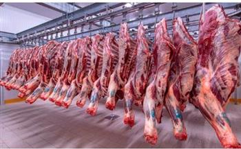 رئيس زراعة الشيوخ: سعر كيلو اللحم القائم خلال أيام سيكون 130 جنيها