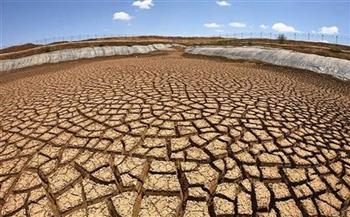 أسوشيتيد برس: الجفاف الشديد في الجنوب الإفريقي يترك الملايين في جوع حاد