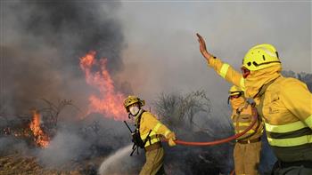رجال الإطفاء يواصلون جهودهم للسيطرة على أكبر حريق غابات في تاريخ تكساس 
