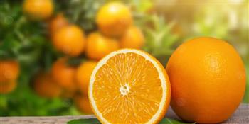 تعرف على فوائد البرتقال