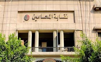 مجلس نقابة المحامين: القضاء الإداري لم يصدر أي أحكام بشأن الانتخابات 