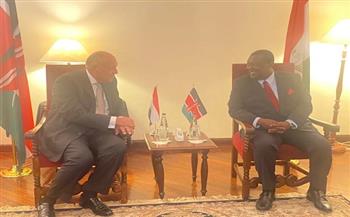 وزير الخارجية يؤكد أهمية انعقاد اللجنة المصرية الكينية ‎المشتركة 