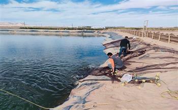 محافظ شمال سيناء يوجه بالتوسع في إقامة المزارع السمكية لتحقيق الاكتفاء الذاتي 
