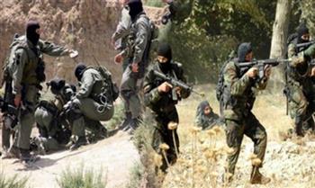 القضاء على أغلب العناصر الإرهابية المتحصنة بالجبال في تونس