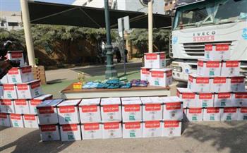 توزيع 4800 كرتونة مواد غذائية على الأسر الأولى بالرعاية في المنيا 