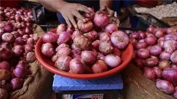إلغاء حظر تصدير البصل بكافة أنواعه (مستند)