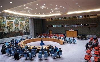مجلس الأمن الدولي يعرب عن قلقه إزاء مقتل عمال إغاثة في غارات إسرائيلية على غزة