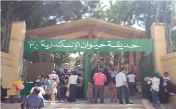 حديقة الحيوان بالإسكندرية: استقبلنا 84 ألف زائر خلال 3 أيام 