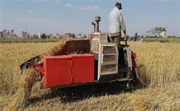 «الزراعة»: قدمنا كل التسهيلات لزيادة إنتاجية القمح وحصاد الخير