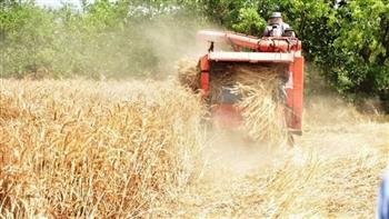 محافظ الشرقية: إعداد 56 مركز تجميع لاستقبال القمح بموسم 2024