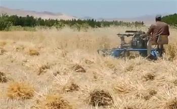 رئيس «الإصلاح الزراعي» يشهد افتتاح موسم حصاد القمح في سيناء