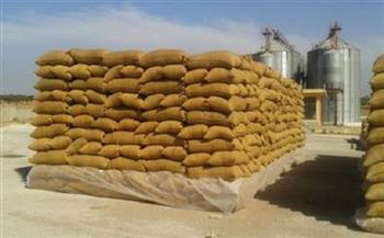 محافظ كفر الشيخ: أنهينا استعدادتنا لاستقبال محصول القمح