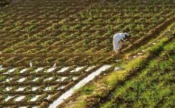 نقيب الفلاحين يوضح جهود الدولة لحماية المحاصيل الزراعية من التغيرات المناخية 
