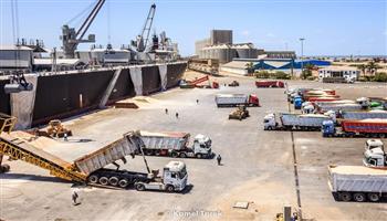 ميناء دمياط يستقبل 103 آلاف طن قمح من روسيا وأوكرانيا في أسبوع