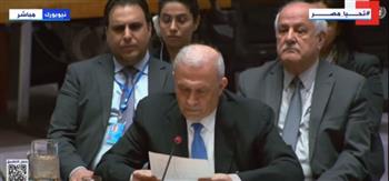 ممثل فسطين في مجلس الأمن: شعبنا ضحية قرارات دولية لم يكن طرفًا فيها