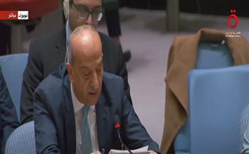 مصر: استخفاف إسرائيل بالقرارات الدولية يضع مصداقية مجلس الأمن على المحك