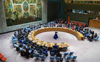 باكستان تنتقد قرار مجلس الأمن الدولي عن عضوية فلسطين  الأممية
