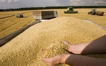 أوكرانيا تصدر 5.2 مليون طن من الحبوب والمحاصيل البقولية خلال مارس الماضي