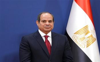 أستاذ علاقات دولية: الرئيس السيسي وضع ثوابت للسياسة المصرية الخارجية