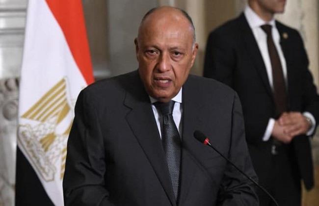 شكري: مصر وشركاؤها يبذلون قصارى جهدهم للتوصل إلى وقف إطلاق النار في غزة