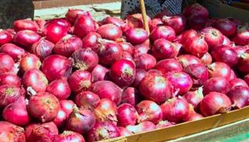 بالكيلو والطن.. أسعار البصل الأحمر اليوم في الأسواق