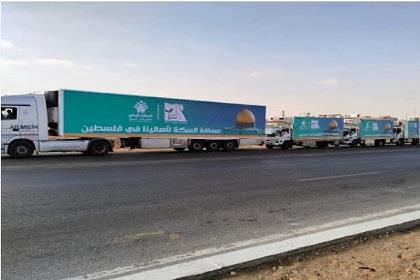 مصر تنجح في إرسال أكثر من 3000 شاحنة إلى غزة منذ بداية إبريل
