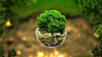الأمم المتحدة تحتفي باليوم الدولي للأرض لزيادة الوعي المجتمعي بالقضايا البيئية 
