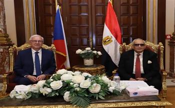 مصر والتشيك تبحثان تعزيز التعاون في حماية التراث ومكافحة تهريب الآثار