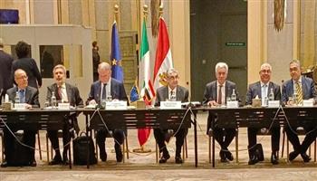 اتحاد الغرف المصرية والأوروبية يبحث فرص الاستثمار في إنتاج الكهرباء والأمونيا الخضراء