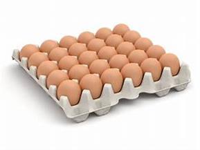  انخفاض أسعار البيض اليوم السبت 27-4-2024
