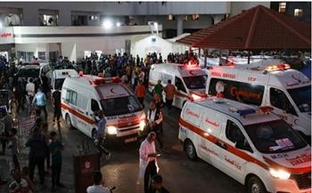 استقبال 35 مصابًا من غزة وعشرات المرافقين عبر معبر رفح