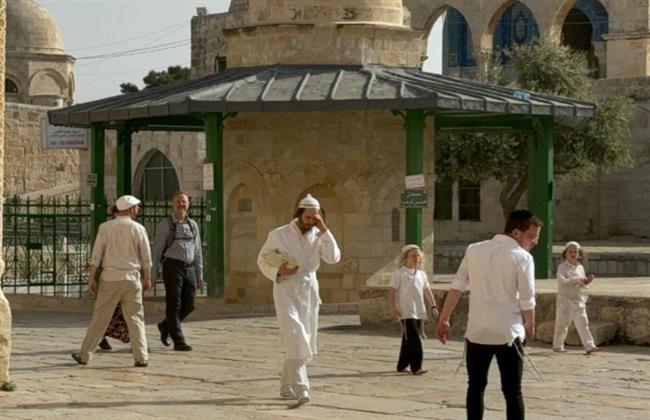 مُستوطنون يقتحمون باحات الأقصى في سابع أيام عيد الفصح اليهودي